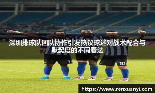 深圳排球队团队协作引发热议球迷对战术配合与默契度的不同看法